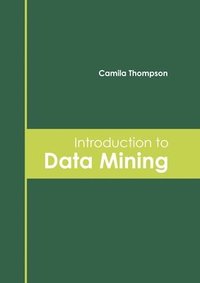 bokomslag Introduction to Data Mining