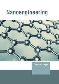 bokomslag Nanoengineering