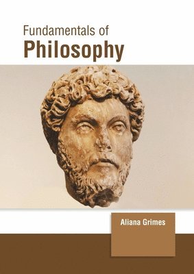 bokomslag Fundamentals of Philosophy