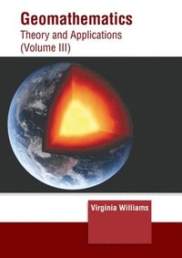 bokomslag Geomathematics: Theory and Applications (Volume III)