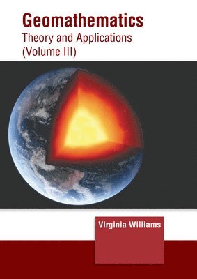 bokomslag Geomathematics: Theory and Applications (Volume III)