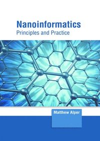 bokomslag Nanoinformatics: Principles and Practice