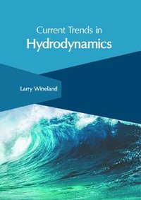 bokomslag Current Trends in Hydrodynamics