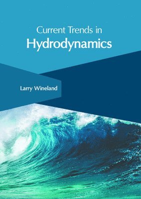 bokomslag Current Trends in Hydrodynamics