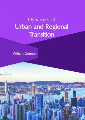 bokomslag Dynamics of Urban and Regional Transition