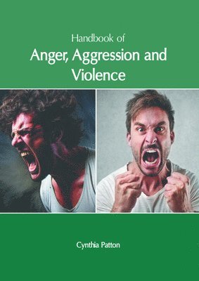 Handbook of Anger, Aggression and Violence