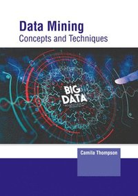 bokomslag Data Mining: Concepts and Techniques