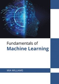 bokomslag Fundamentals of Machine Learning