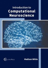 bokomslag Introduction to Computational Neuroscience