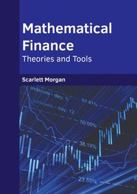 bokomslag Mathematical Finance: Theories and Tools