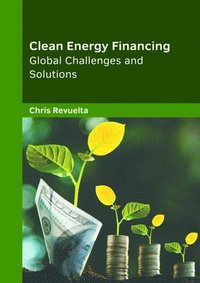 bokomslag Clean Energy Financing: Global Challenges and Solutions