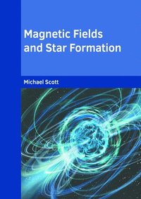 bokomslag Magnetic Fields and Star Formation