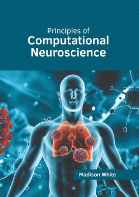bokomslag Principles of Computational Neuroscience