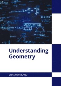 bokomslag Understanding Geometry