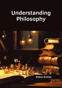 bokomslag Understanding Philosophy