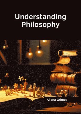 bokomslag Understanding Philosophy