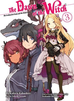 The Dawn Of The Witch 3 (light Novel) 1