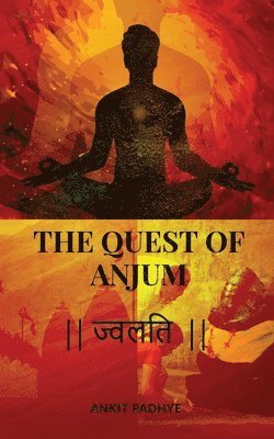bokomslag Quest of Anjum