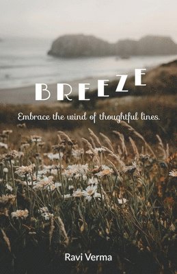 bokomslag Breeze