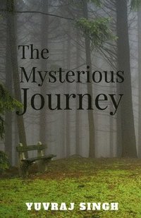 bokomslag The mysterious journey