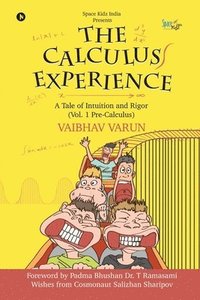 bokomslag The Calculus Experience