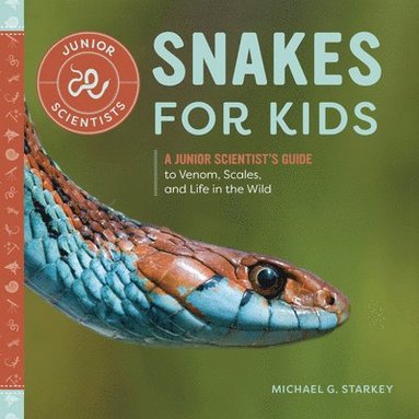 bokomslag Snakes for Kids