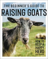 bokomslag The Beginner's Guide to Raising Goats: How to Keep a Happy Herd