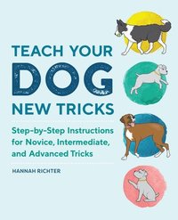 bokomslag Teach Your Dog New Tricks: Step-By-Step Instructions for Novice, Intermediate, and Advanced Tricks
