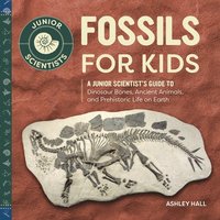 bokomslag Fossils for Kids