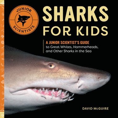 David McGuire - Sharks for Kids: A Junior Scientist's Guide to Great Whites, Hammerheads, and Other Sharks in the Sea, Häftad