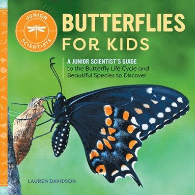 bokomslag Butterflies for Kids