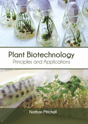 bokomslag Plant Biotechnology: Principles and Applications