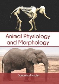 bokomslag Animal Physiology and Morphology