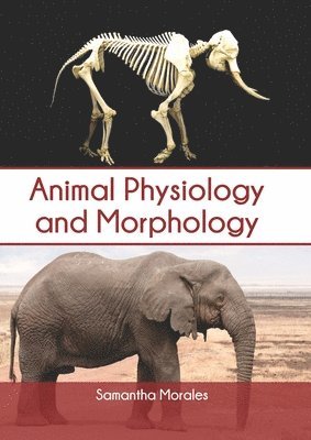 Animal Physiology and Morphology 1