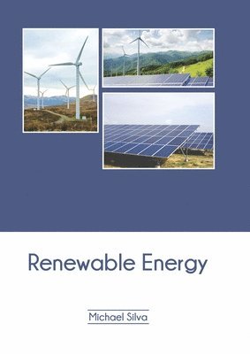 bokomslag Renewable Energy