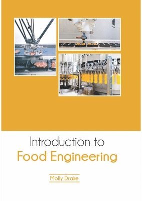 bokomslag Introduction to Food Engineering