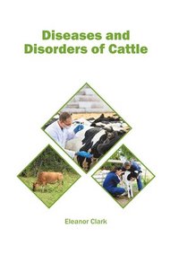 bokomslag Diseases and Disorders of Cattle