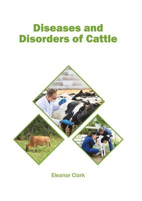 Diseases and Disorders of Cattle 1