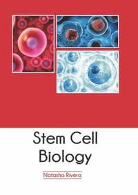 bokomslag Stem Cell Biology
