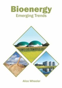 bokomslag Bioenergy: Emerging Trends