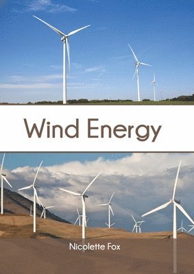 bokomslag Wind Energy