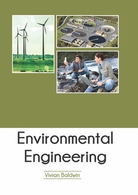 Vivian Baldwin - Environmental Engineering, Inbunden