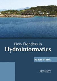 bokomslag New Frontiers in Hydroinformatics