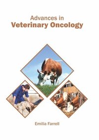 bokomslag Advances in Veterinary Oncology