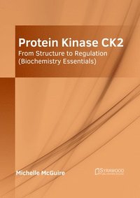 bokomslag Protein Kinase Ck2: From Structure to Regulation (Biochemistry Essentials)