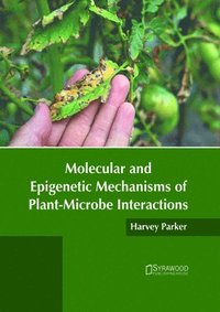 bokomslag Molecular and Epigenetic Mechanisms of Plant-Microbe Interactions
