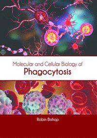 bokomslag Molecular and Cellular Biology of Phagocytosis