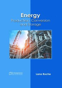 bokomslag Energy: Production, Conversion and Storage