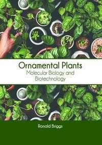bokomslag Ornamental Plants: Molecular Biology and Biotechnology