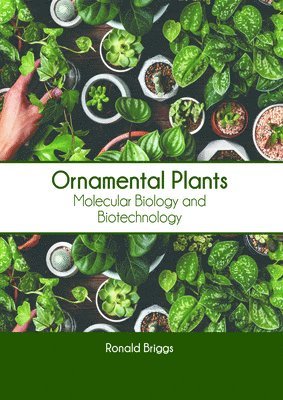 bokomslag Ornamental Plants: Molecular Biology and Biotechnology